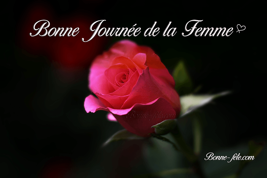 journee-femme-bonne-fete.png