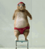 caeb17ce45dd6b29634c45253caee731.gif