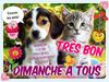 dimanche_076.jpg
