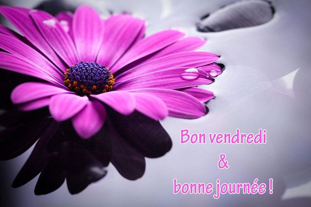 bon-vendredi.jpg
