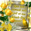 3308934944_1_2_4ILQW3dB.png
