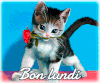 bonne journée ensoleillée