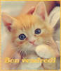 tenor.png