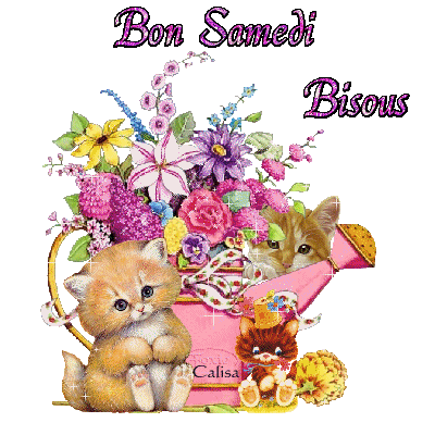 bon-samedi-bisous-avec-minou.gif