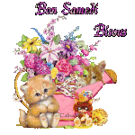 bon-samedi-bisous-avec-minou.gif