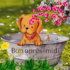 9232450_21482.gif
