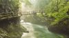 paysages.jpg