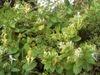 DSC04182.JPG