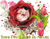 image_0946180_20210526_ob_7528c0_bonne-fete-a-toutes-les-mamans-gif.gif