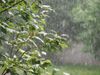GettyImages-898238970.jpg