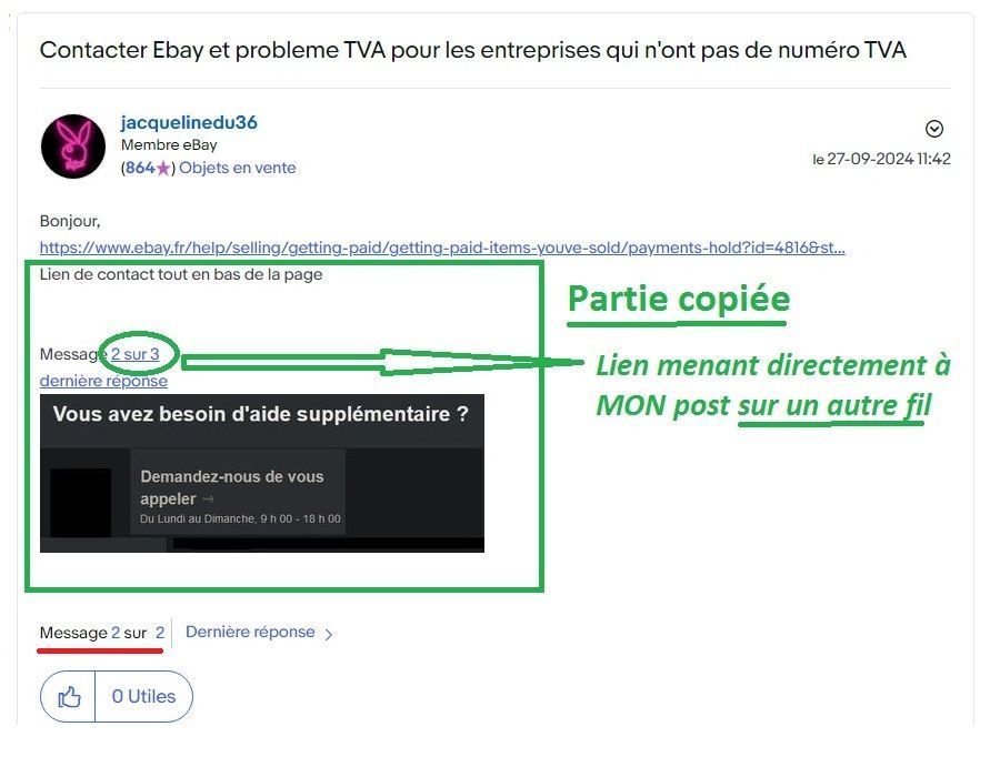 plagiat jacqueline.jpg