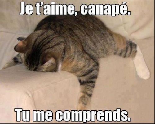Capture2.JPG
