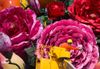 Fleurs